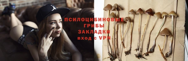 сатива Михайловка