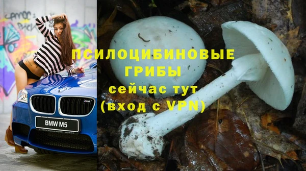 MESCALINE Медногорск