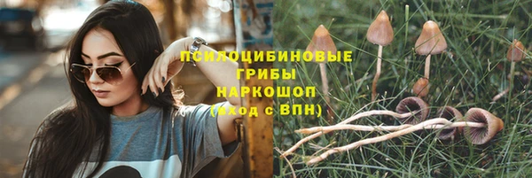 метадон Мегион