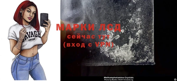 сатива Михайловка
